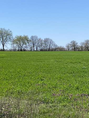 37.4 Acres of Land for Sale in Cassville, Missouri