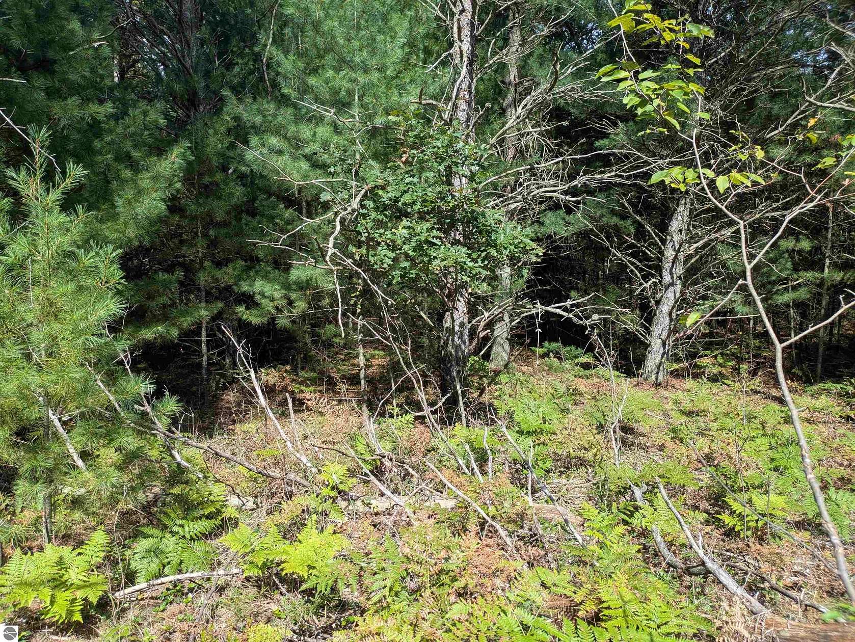 0.24 Acres of Land for Sale in Alger, Michigan