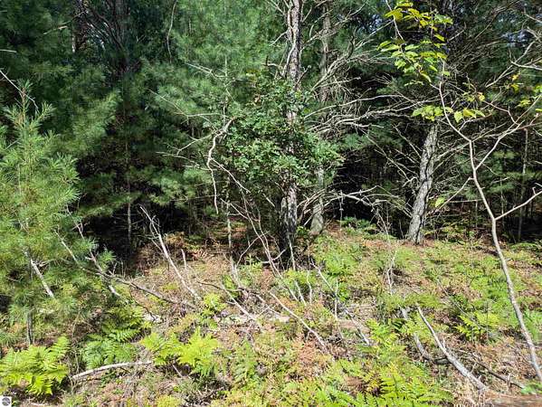 0.24 Acres of Land for Sale in Alger, Michigan