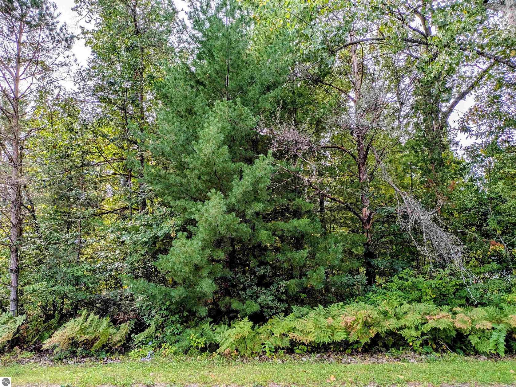 0.17 Acres of Land for Sale in Alger, Michigan