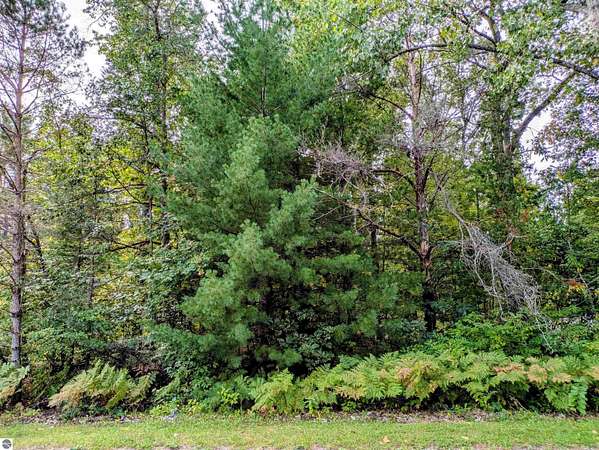 0.17 Acres of Land for Sale in Alger, Michigan