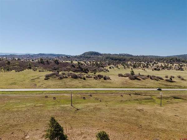 63 Acres of Land for Sale in Pagosa Springs, Colorado
