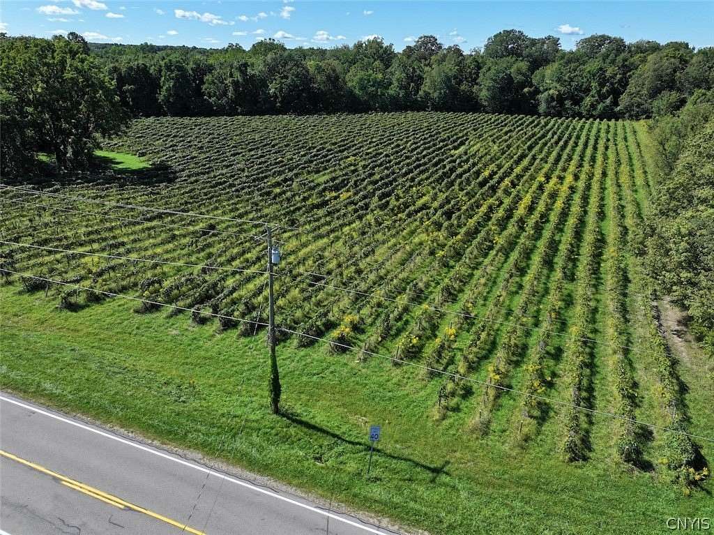 8.1 Acres of Residential Land for Sale in Forestville, New York
