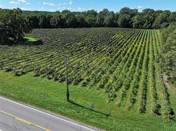 8.1 Acres of Residential Land for Sale in Forestville, New York