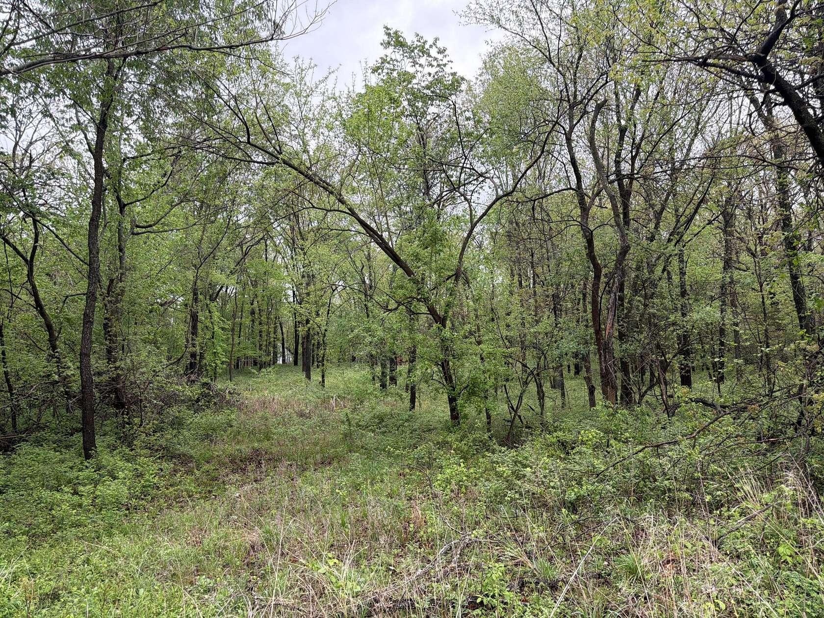 2 Acres of Land for Sale in Carthage, Missouri