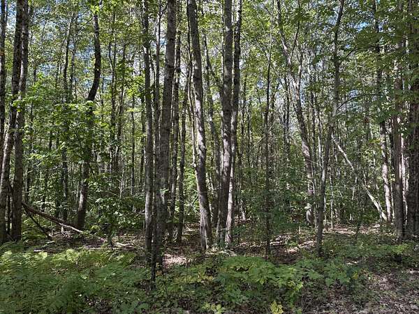 10 Acres of Residential Land for Sale in Appleton, Maine