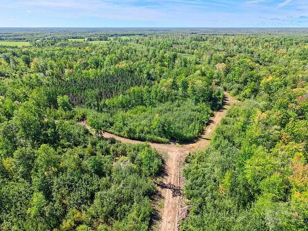 600 Acres of Recreational & Residential Land for Sale in Hinckley, Minnesota