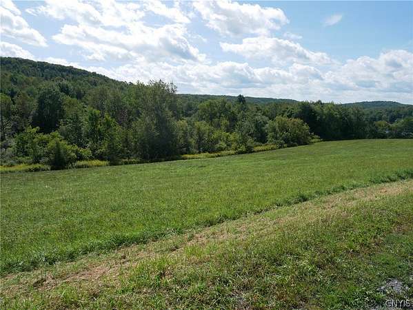 35.3 Acres of Land with Home for Sale in Waterville, New York