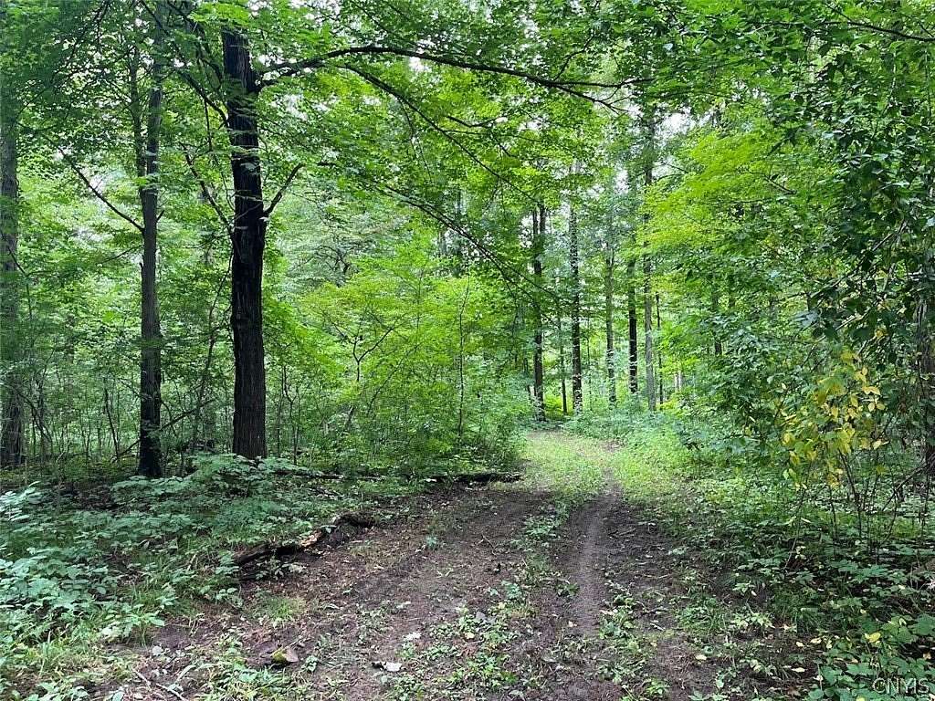 72 Acres of Recreational Land for Sale in Albion, New York