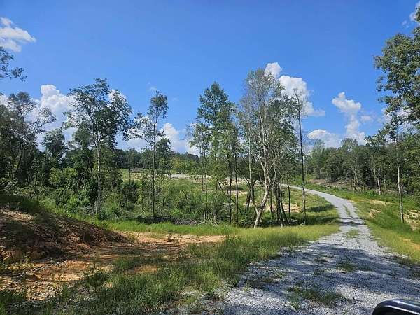 34 Acres of Land for Sale in Ellisville, Mississippi