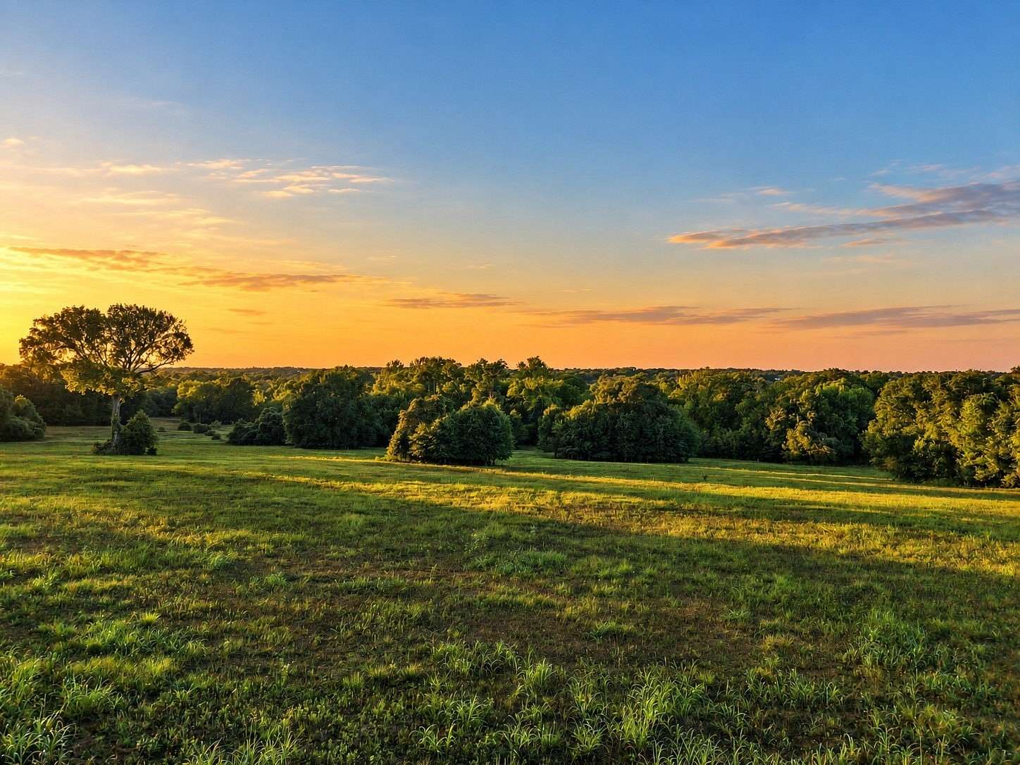 15.1 Acres of Land for Sale in Washington, Texas