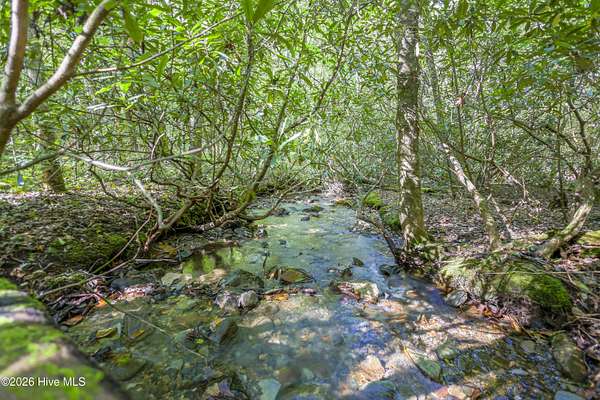 90.5 Acres of Recreational Land for Sale in Andrews, North Carolina