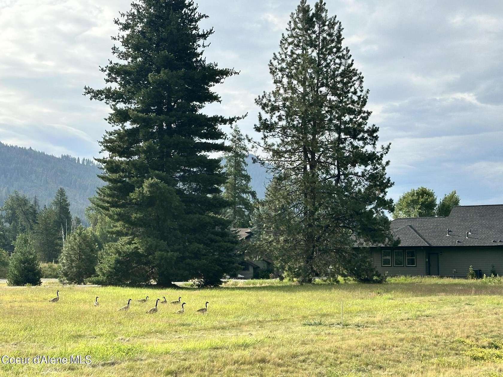 0.37 Acres of Residential Land for Sale in Sandpoint, Idaho