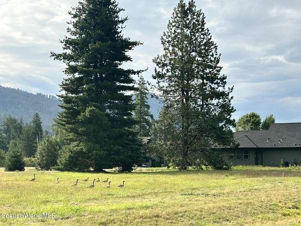0.37 Acres of Residential Land for Sale in Sandpoint, Idaho