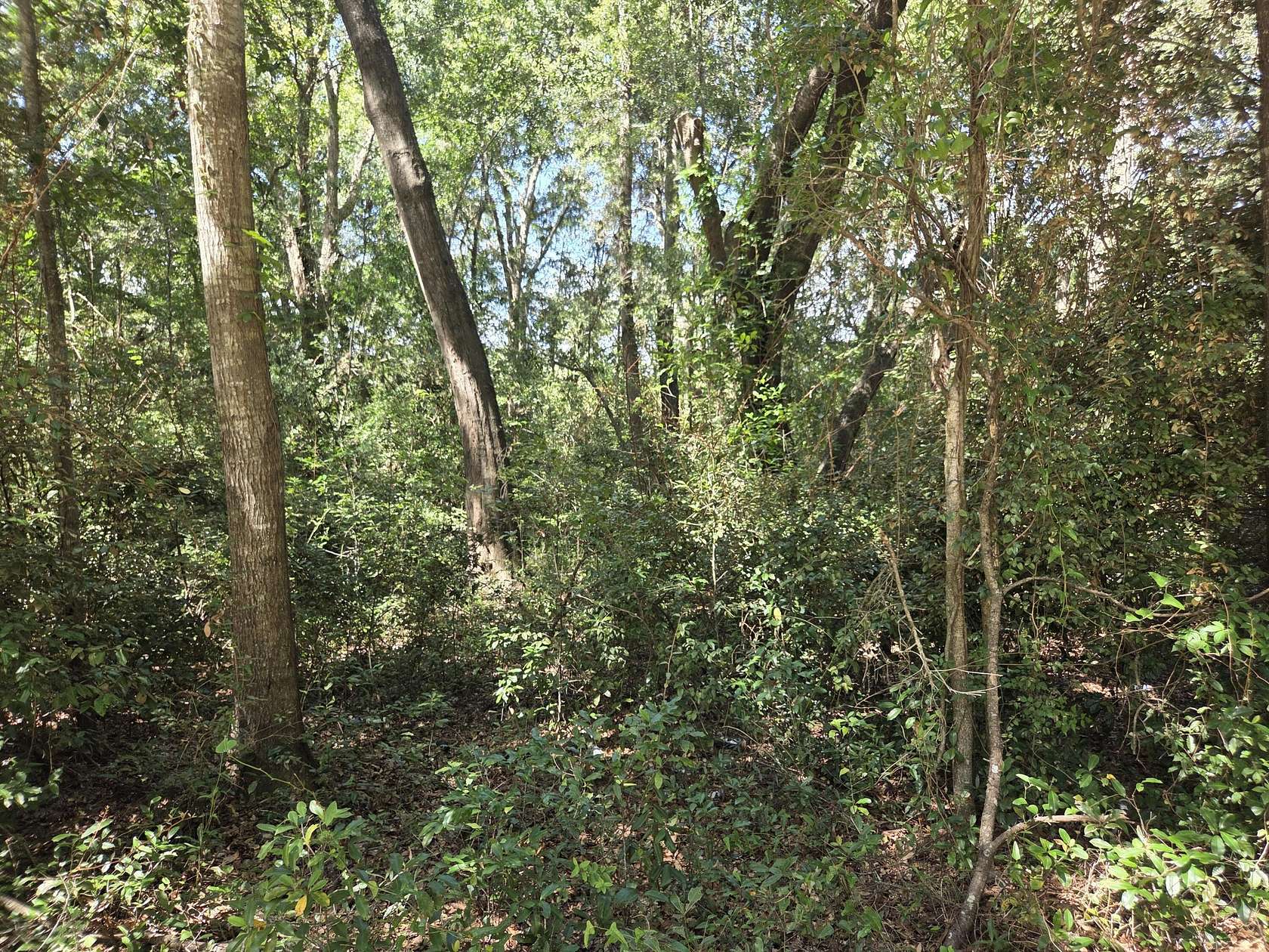 0.5 Acres of Residential Land for Sale in Mount Pleasant, South Carolina