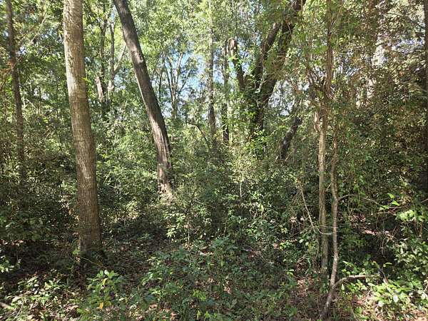 0.5 Acres of Residential Land for Sale in Mount Pleasant, South Carolina