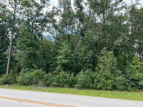 0.38 Acres of Residential Land for Sale in Ocklawaha, Florida