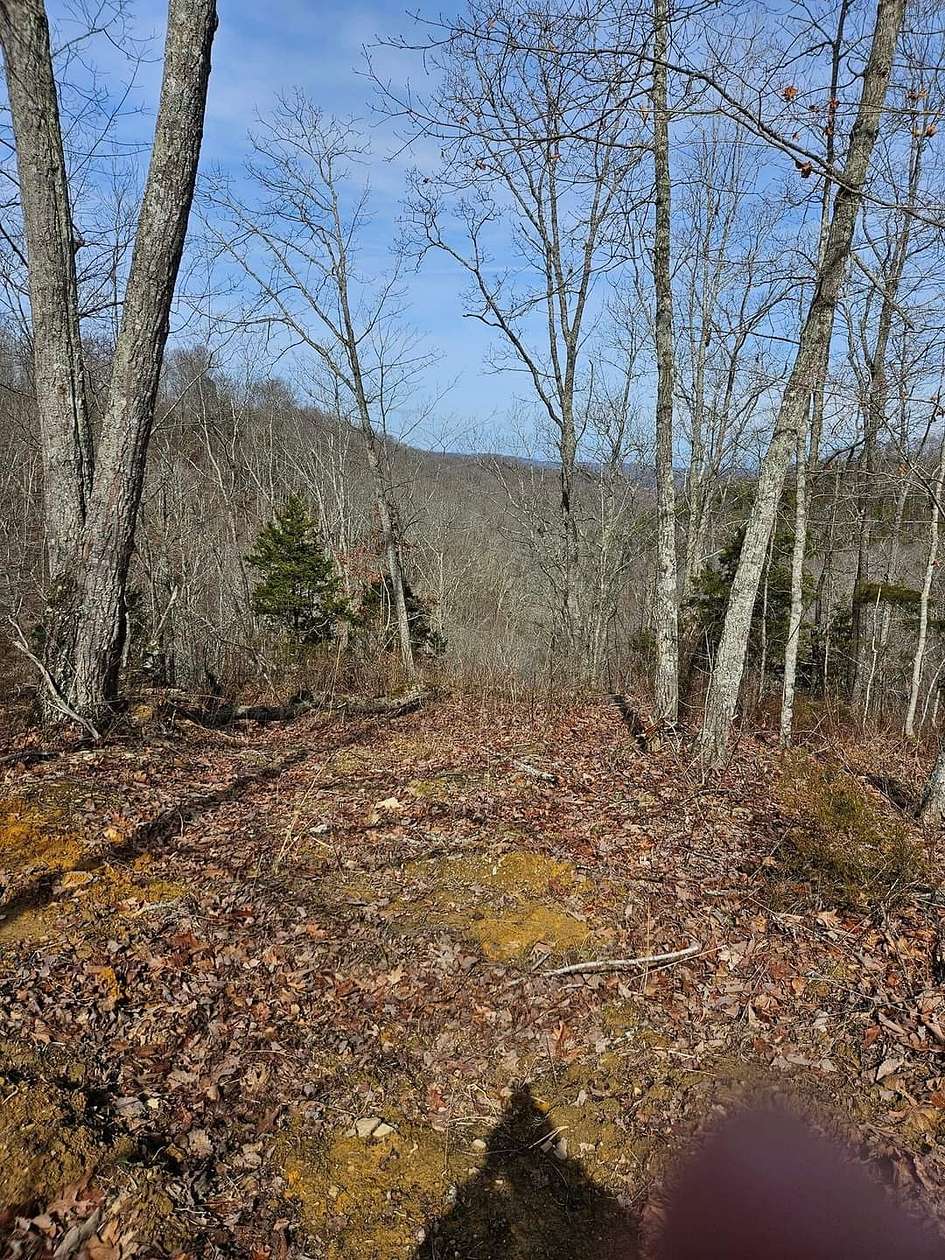 17 Acres of Land for Sale in Albany, Kentucky