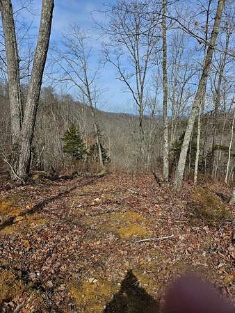 17 Acres of Land for Sale in Albany, Kentucky