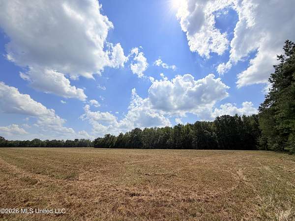 13.2 Acres of Recreational & Residential Land for Sale in Carthage, Mississippi