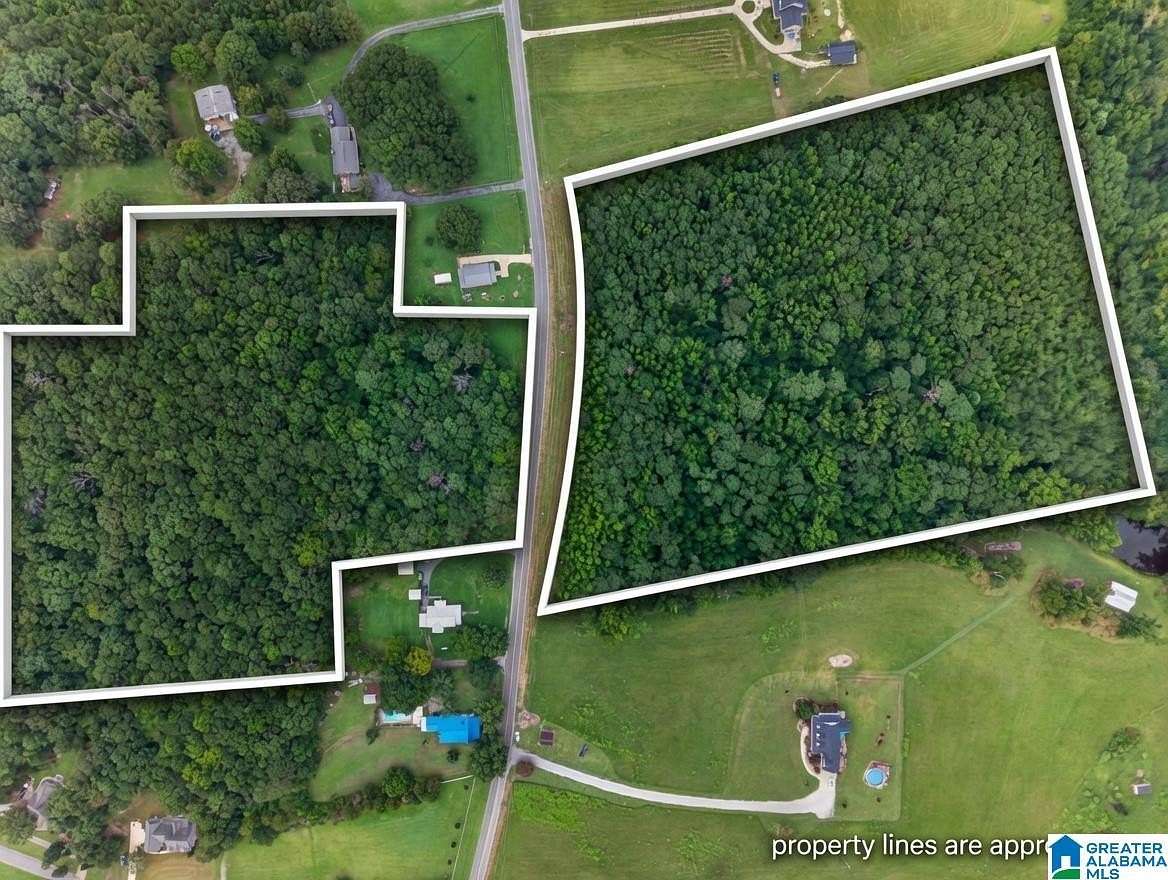 25.7 Acres of Land for Sale in Jacksonville, Alabama