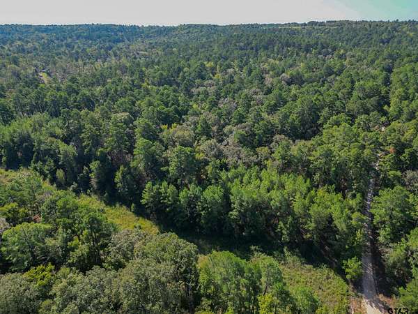 15 Acres of Land for Sale in Jacksonville, Texas