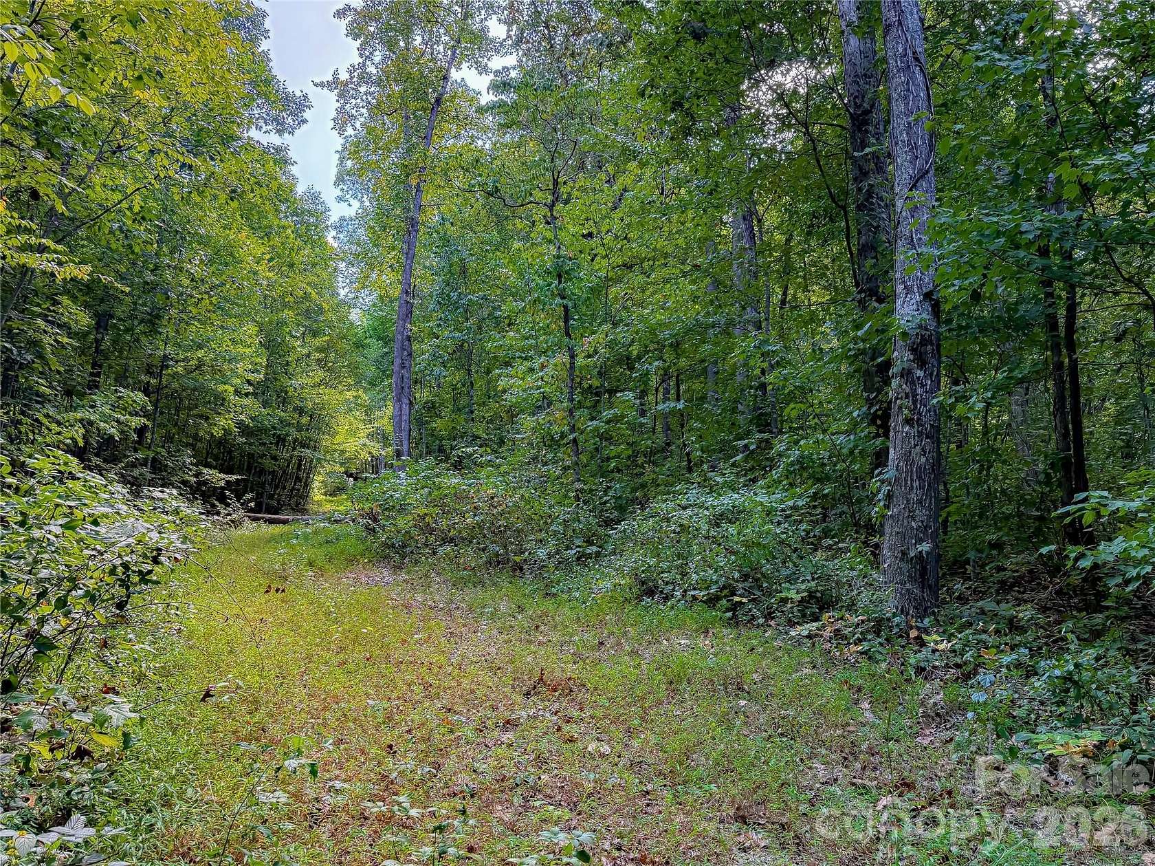 0.97 Acres of Residential Land for Sale in Leicester, North Carolina