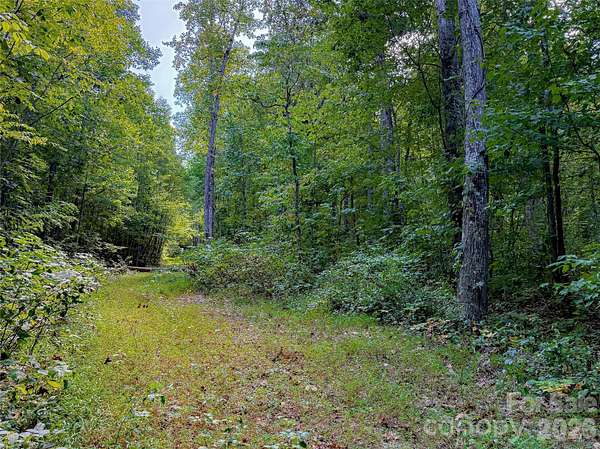 0.97 Acres of Residential Land for Sale in Leicester, North Carolina