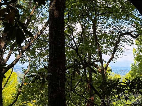 10.5 Acres of Land for Sale in Leicester, North Carolina