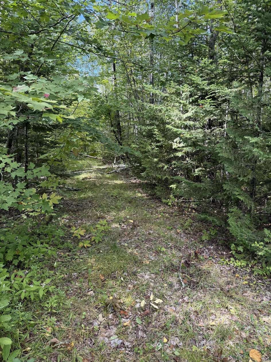 25 Acres of Recreational & Residential Land for Sale in Orneville Township, Maine