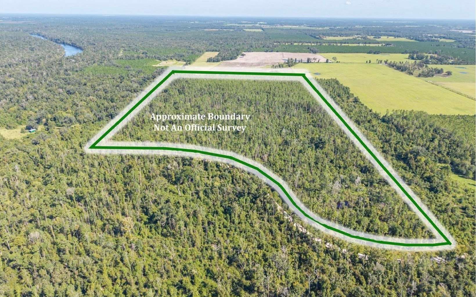 65 Acres of Land for Sale in Live Oak, Florida