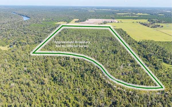 65 Acres of Land for Sale in Live Oak, Florida