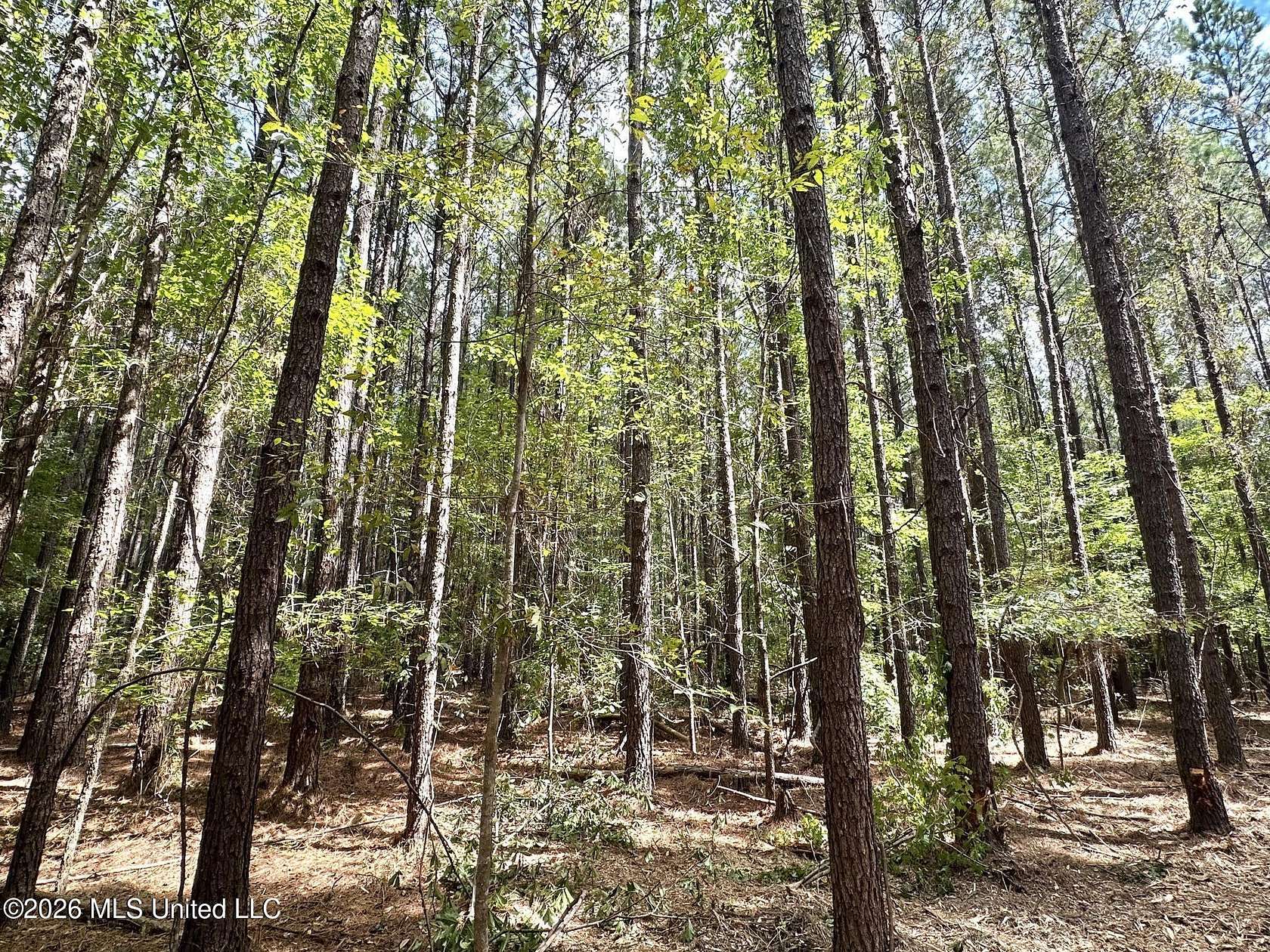 19 Acres of Recreational & Residential Land for Sale in Braxton, Mississippi
