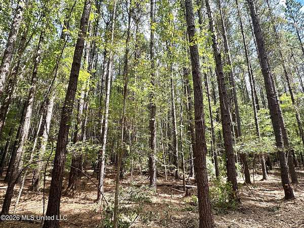 19 Acres of Recreational & Residential Land for Sale in Braxton, Mississippi