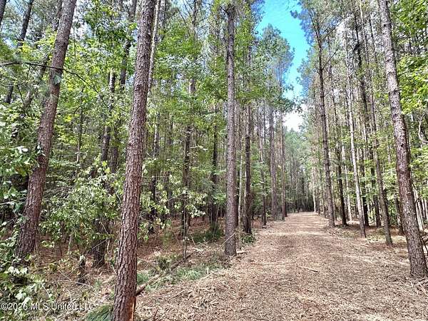 18 Acres of Recreational & Residential Land for Sale in Braxton, Mississippi