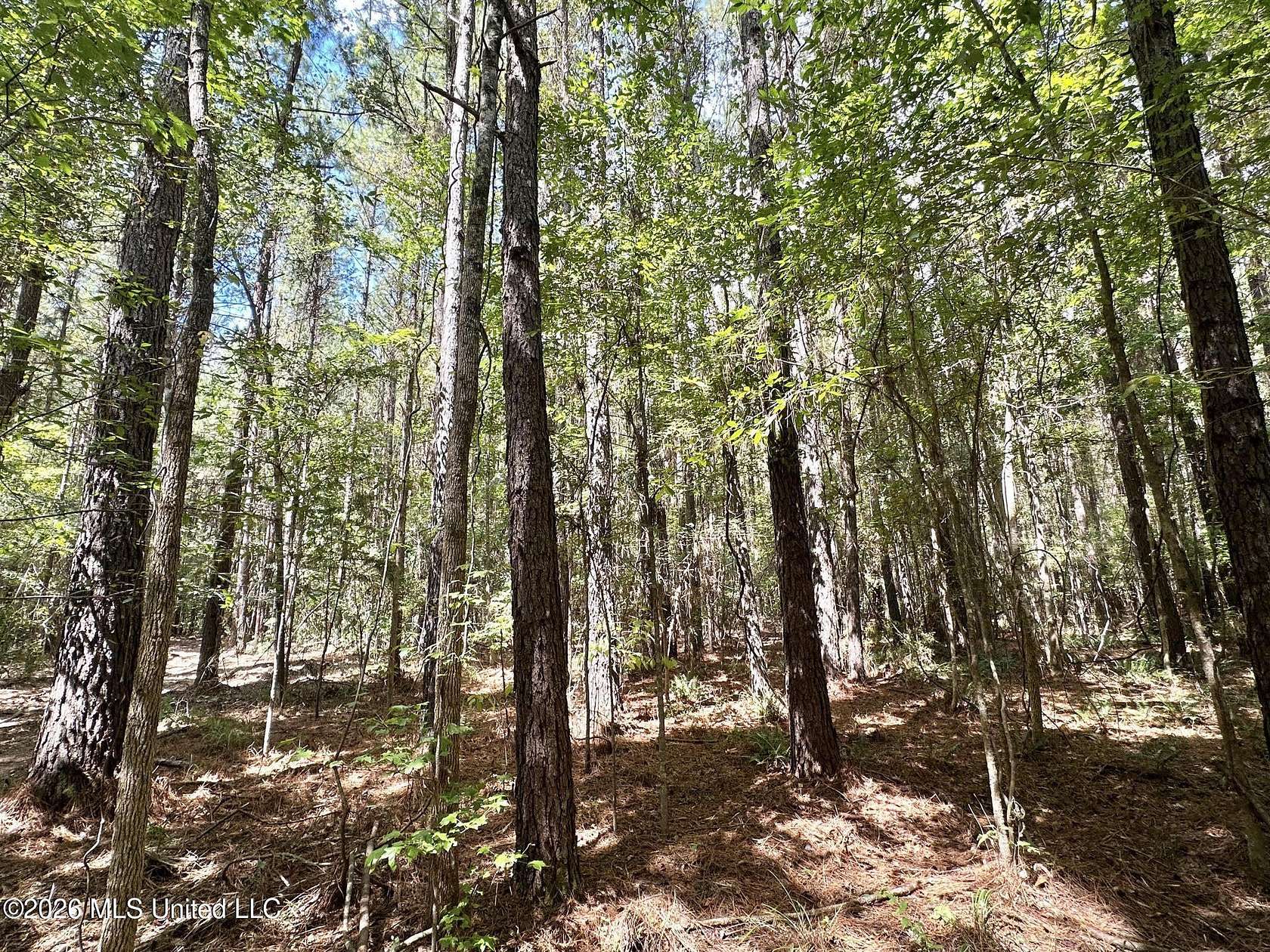 61 Acres of Recreational & Residential Land for Sale in Braxton, Mississippi