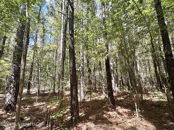 61 Acres of Recreational & Residential Land for Sale in Braxton, Mississippi