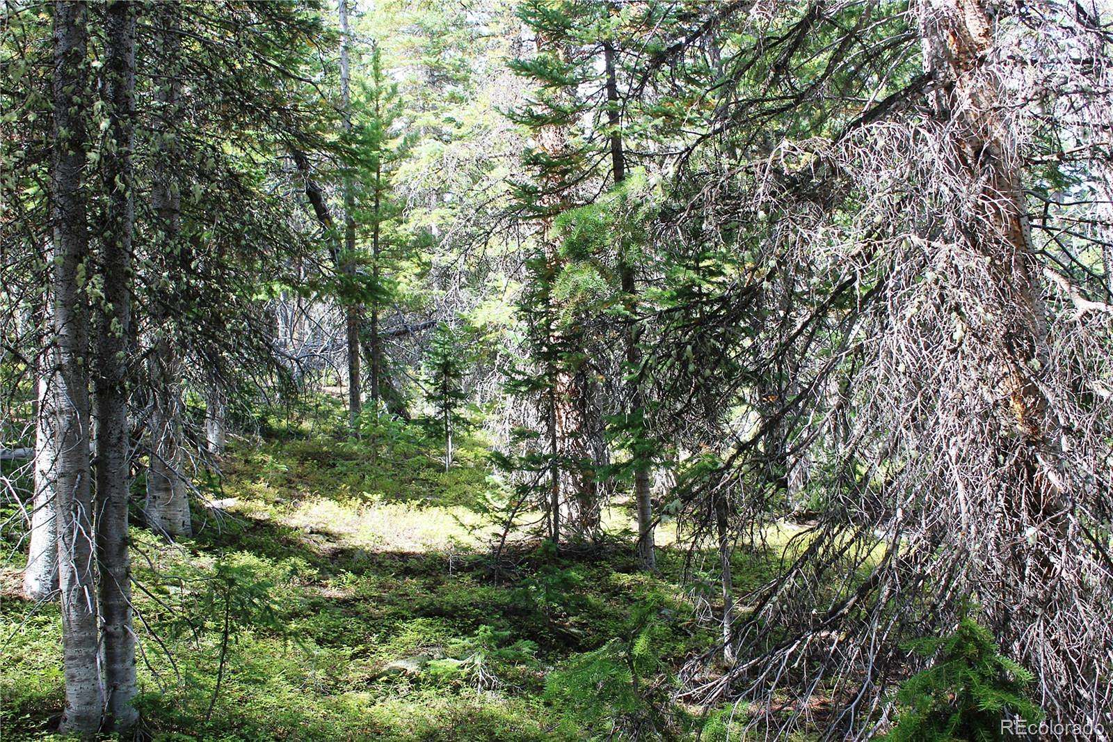 5.17 Acres of Land for Sale in Black Hawk, Colorado