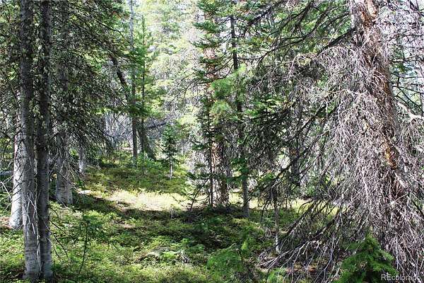 5.17 Acres of Land for Sale in Black Hawk, Colorado