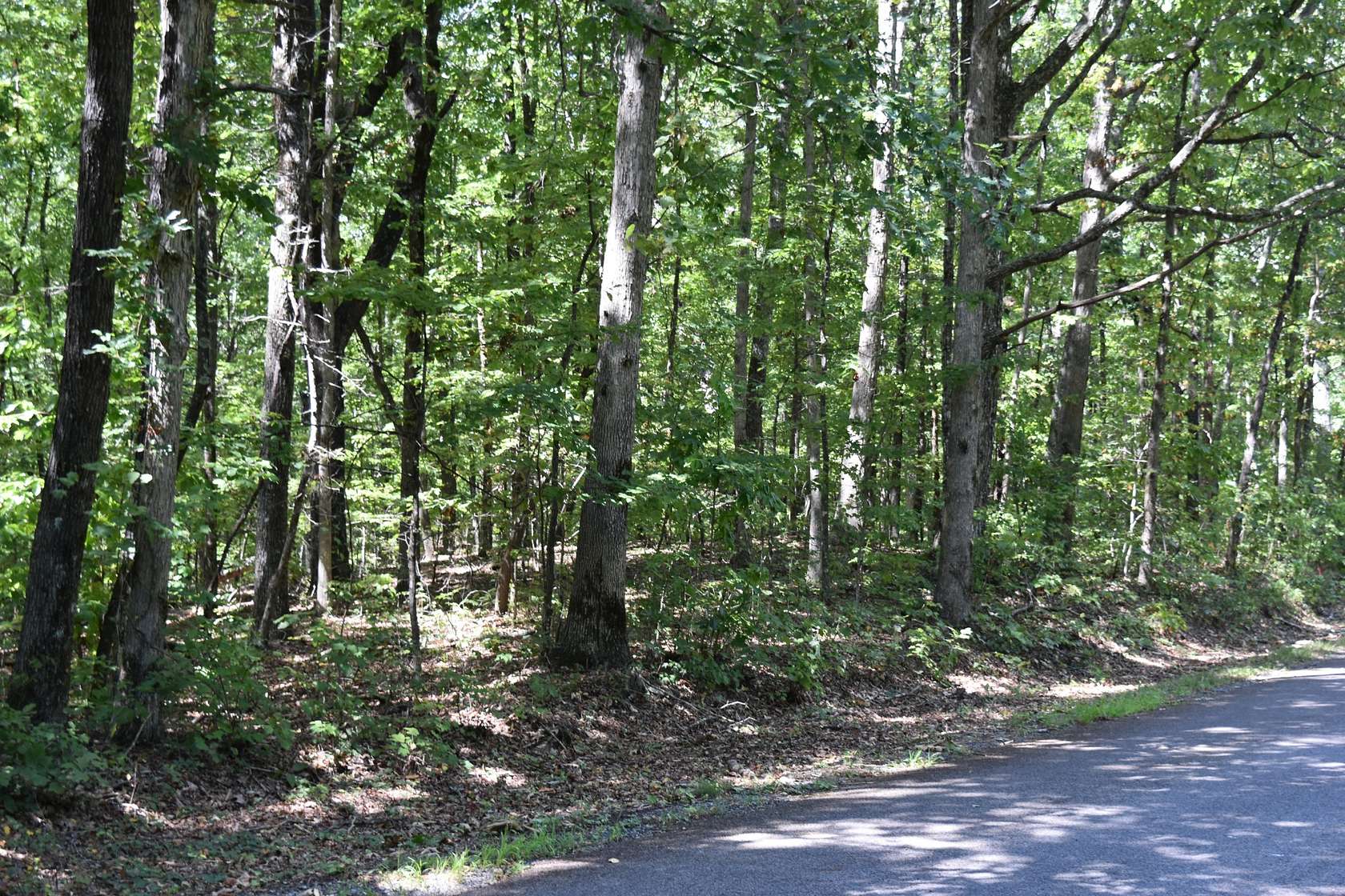 10 Acres of Land for Sale in Sequatchie, Tennessee