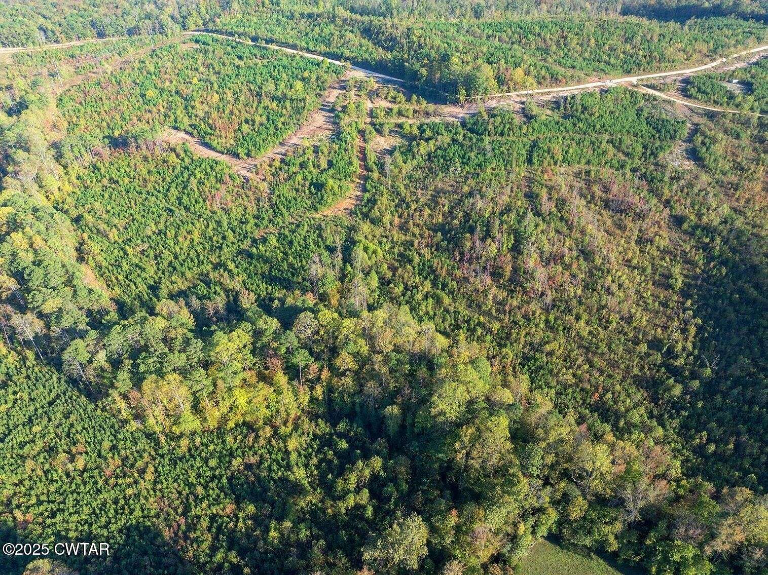 38.5 Acres of Land for Sale in Bath Springs, Tennessee