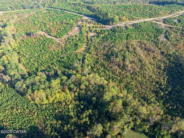 38.5 Acres of Land for Sale in Bath Springs, Tennessee