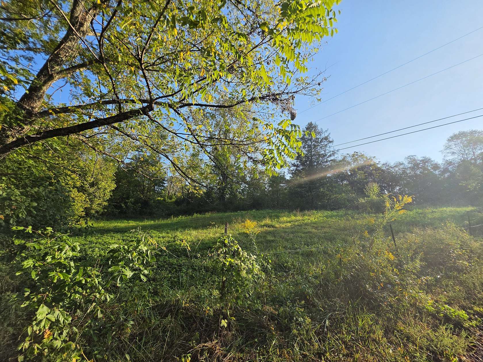 4.2 Acres of Residential Land for Sale in Palmer, Tennessee