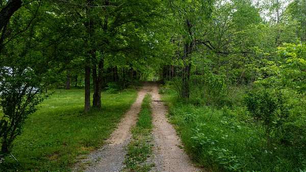 9.73 Acres of Land for Sale in Erin, Tennessee