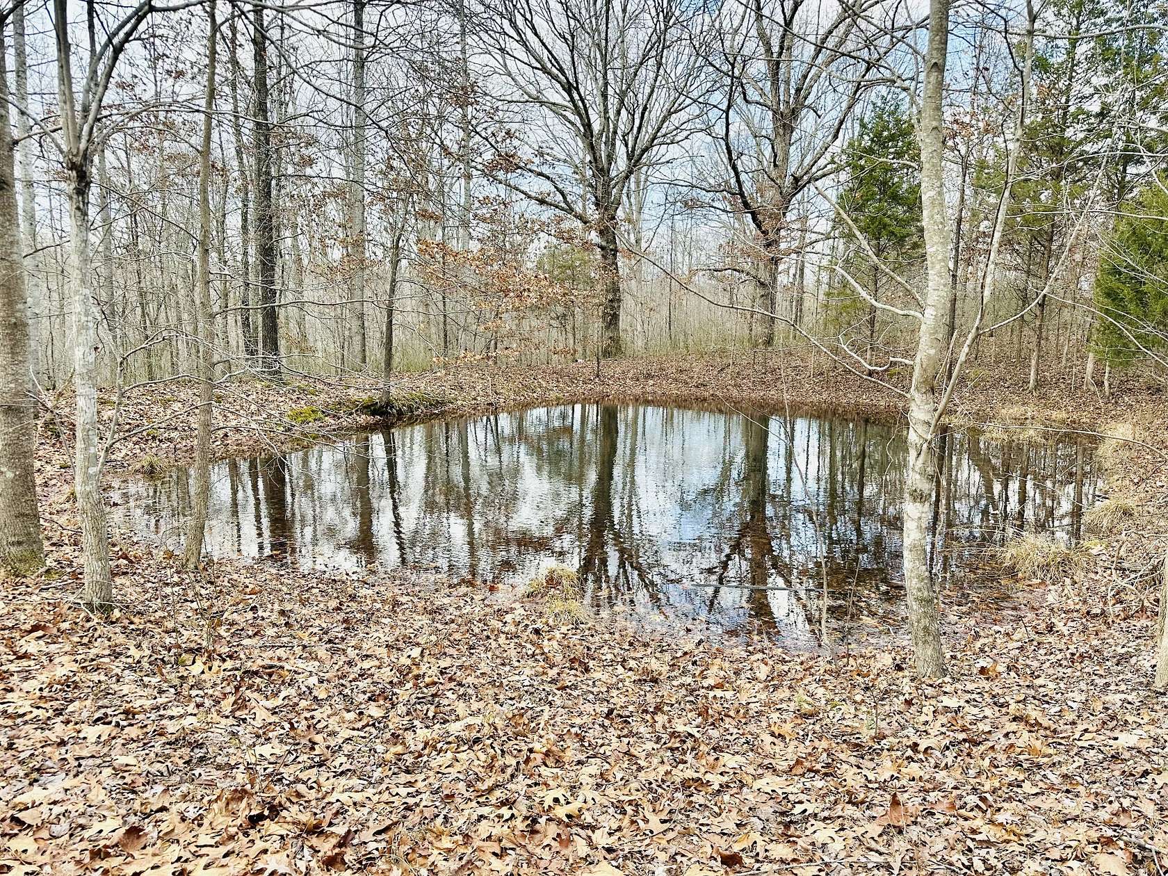 13.8 Acres of Land for Sale in Erin, Tennessee