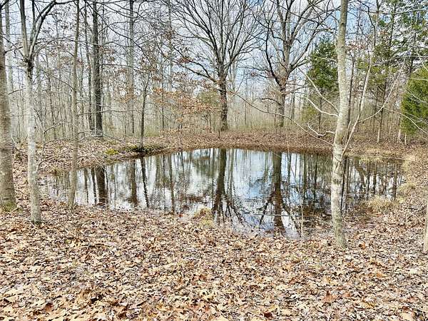 13.8 Acres of Land for Sale in Erin, Tennessee