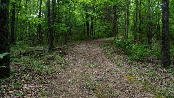 5.87 Acres of Land for Sale in Erin, Tennessee