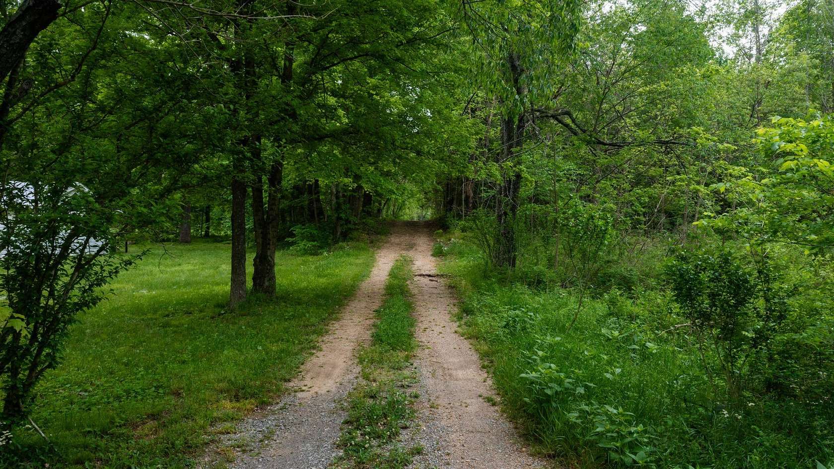 7 Acres of Land for Sale in Erin, Tennessee