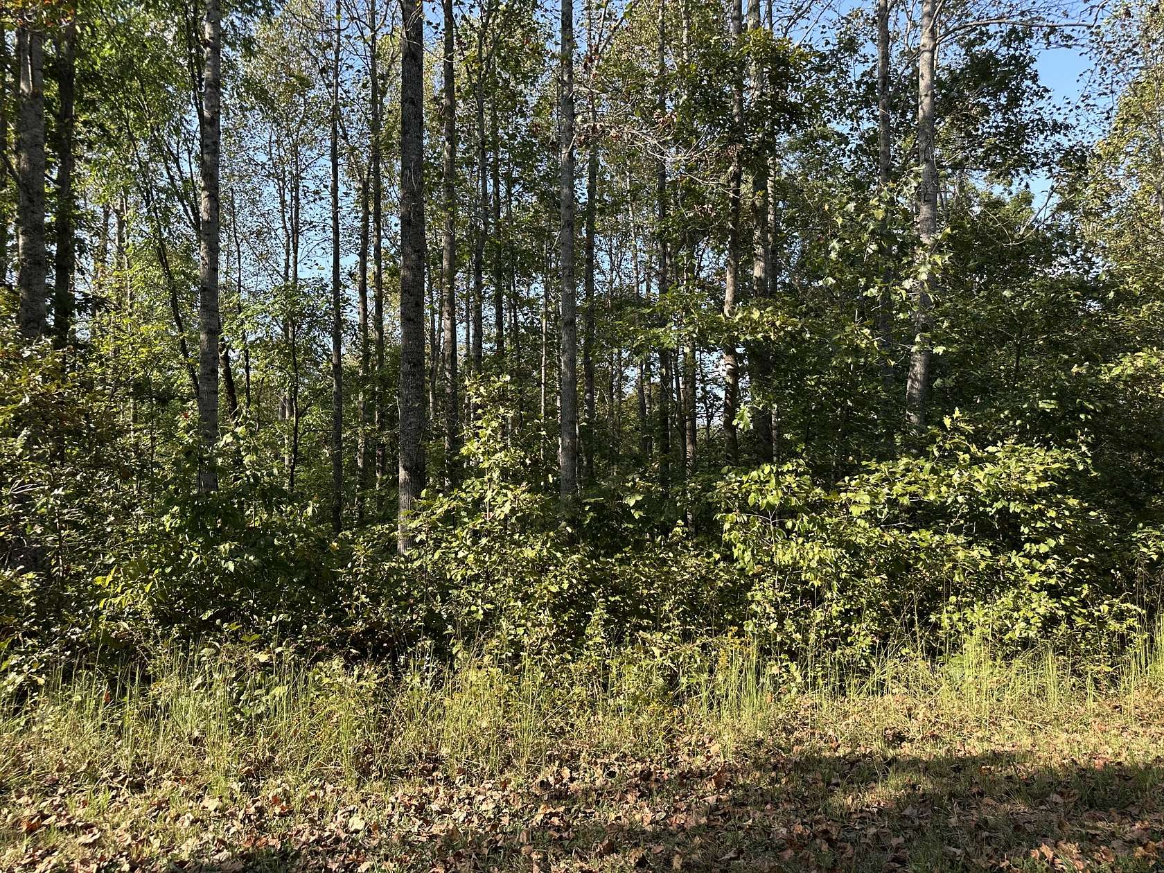 7.85 Acres of Land for Sale in Erin, Tennessee