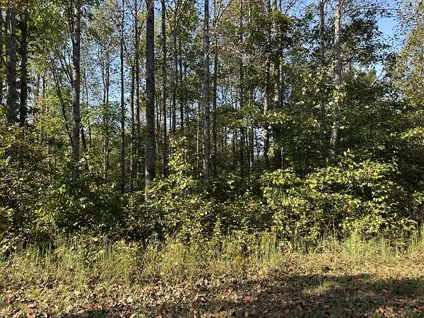 7.85 Acres of Land for Sale in Erin, Tennessee